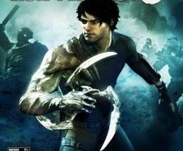 Dark Sector