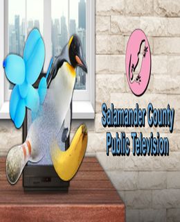 Salamander County Public Television Cover, Poster, Full Version, PC Game, Download Free