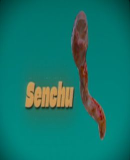 Senchu Cover, Poster, Full Version, PC Game, Download Free